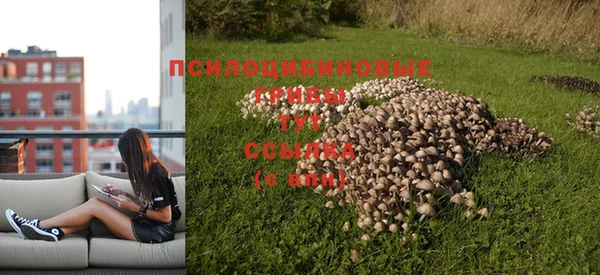 не бодяженный Осташков